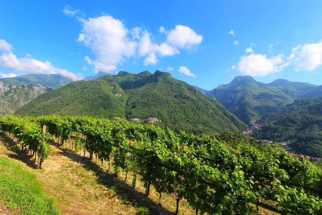 Casa Silvana Equi Terme Εξωτερικό φωτογραφία